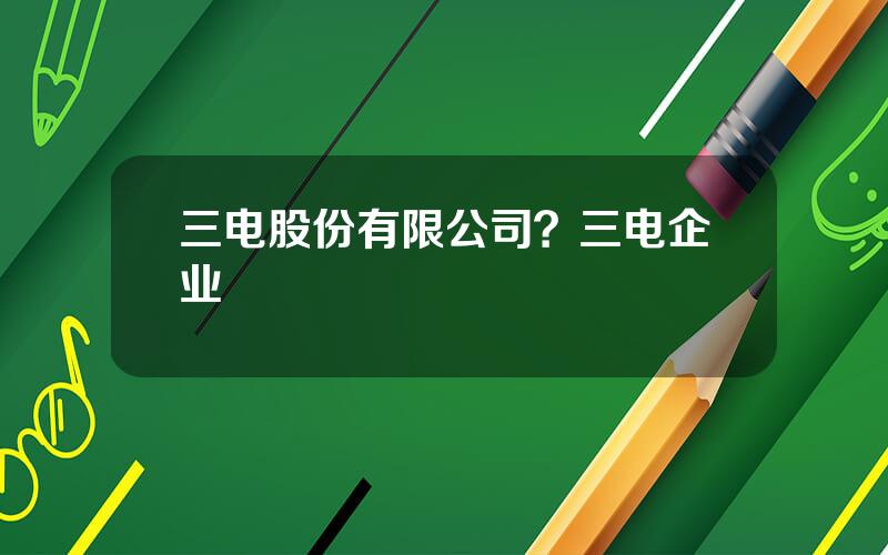 三电股份有限公司？三电企业