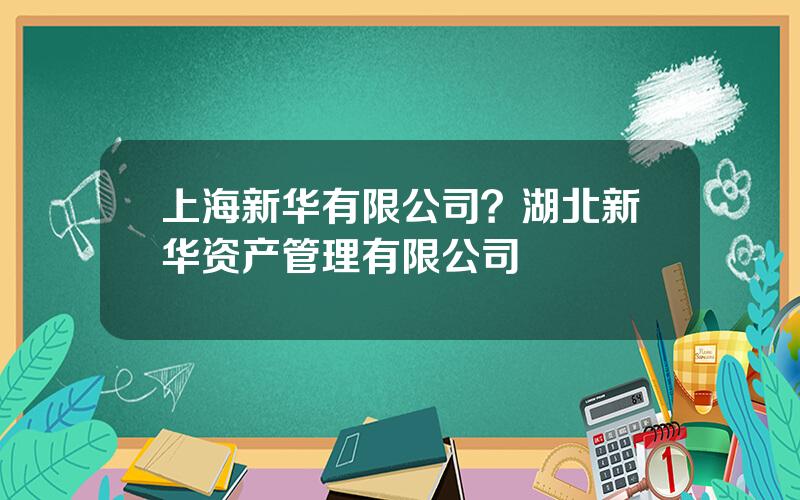上海新华有限公司？湖北新华资产管理有限公司