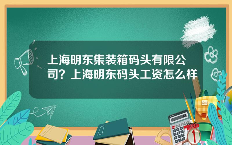 上海明东集装箱码头有限公司？上海明东码头工资怎么样