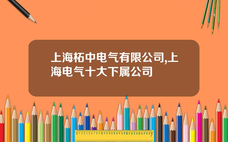 上海柘中电气有限公司,上海电气十大下属公司