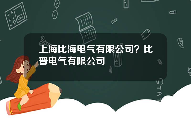 上海比海电气有限公司？比普电气有限公司