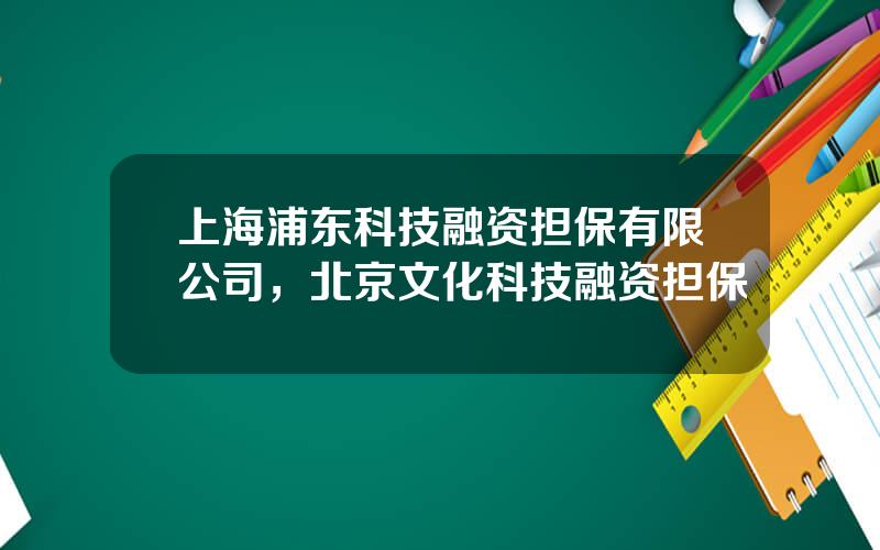 上海浦东科技融资担保有限公司，北京文化科技融资担保