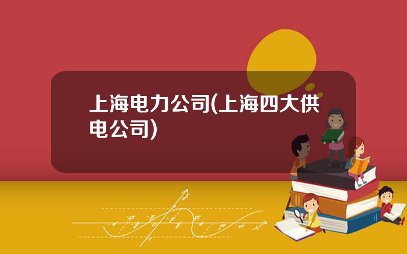 上海电力公司(上海四大供电公司)