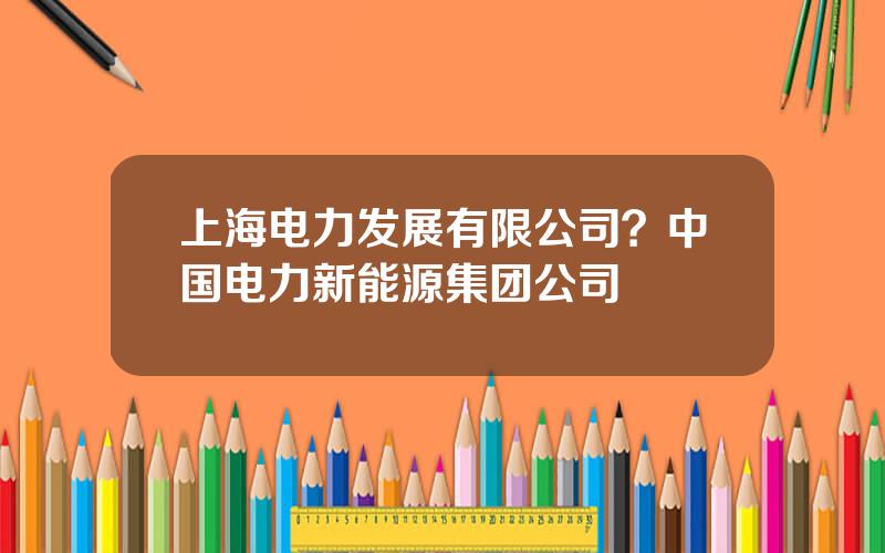 上海电力发展有限公司？中国电力新能源集团公司