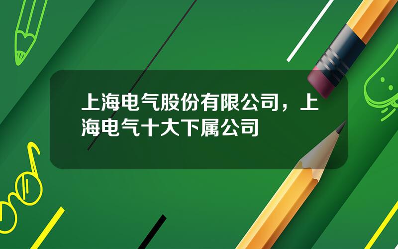 上海电气股份有限公司，上海电气十大下属公司