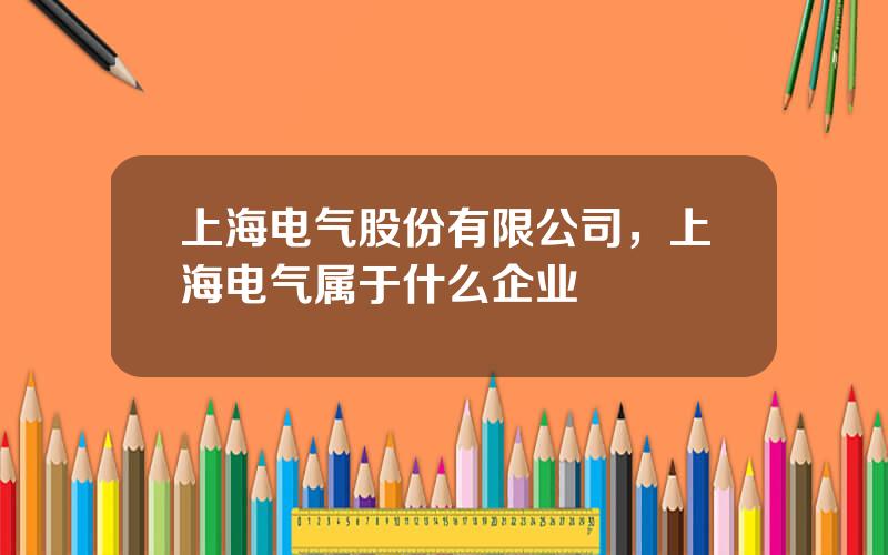 上海电气股份有限公司，上海电气属于什么企业
