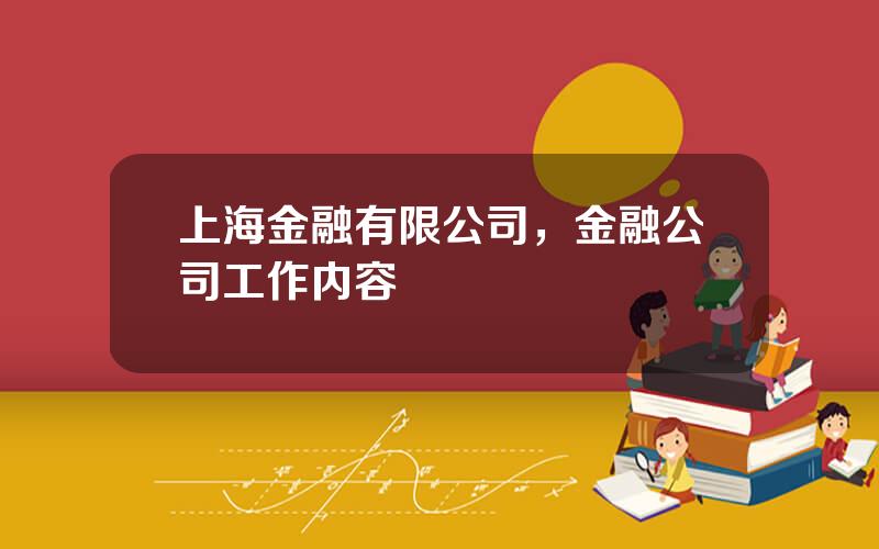 上海金融有限公司，金融公司工作内容