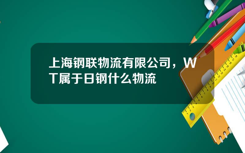 上海钢联物流有限公司，WT属于日钢什么物流