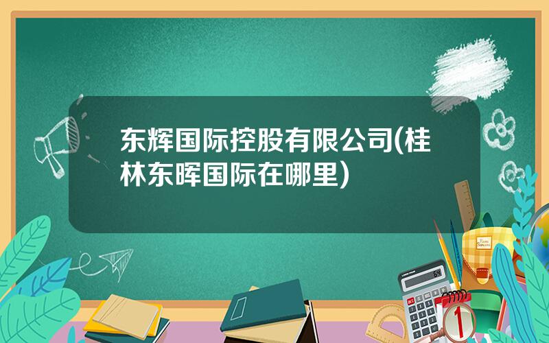 东辉国际控股有限公司(桂林东晖国际在哪里)