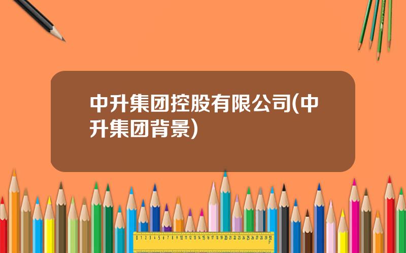 中升集团控股有限公司(中升集团背景)