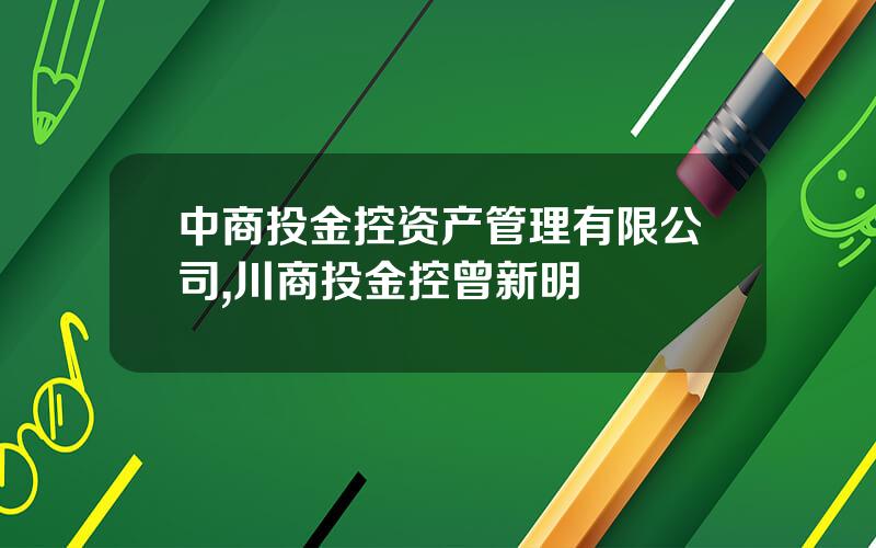 中商投金控资产管理有限公司,川商投金控曾新明