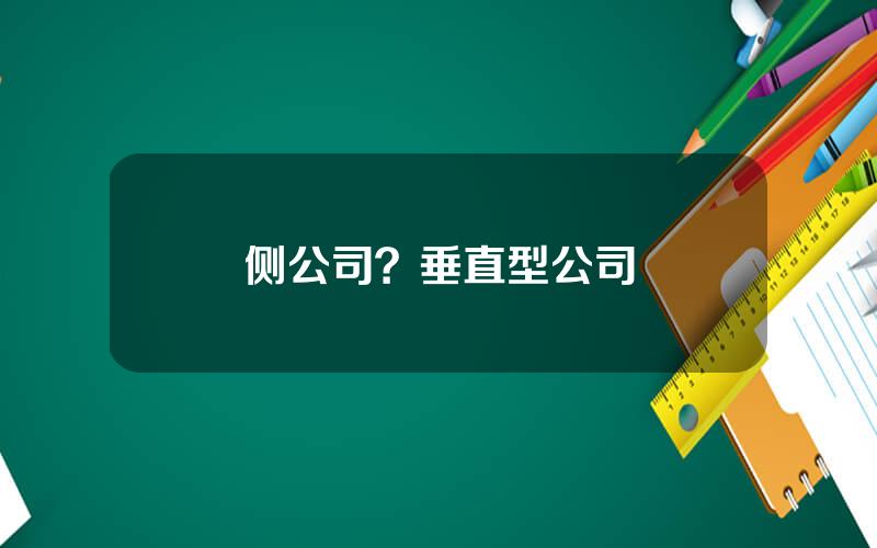 侧公司？垂直型公司
