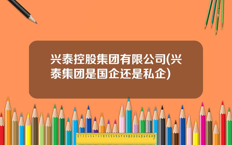 兴泰控股集团有限公司(兴泰集团是国企还是私企)