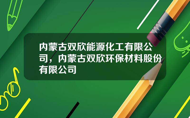 内蒙古双欣能源化工有限公司，内蒙古双欣环保材料股份有限公司