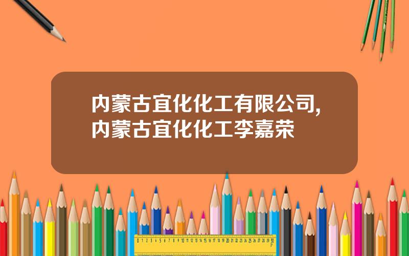 内蒙古宜化化工有限公司,内蒙古宜化化工李嘉荣