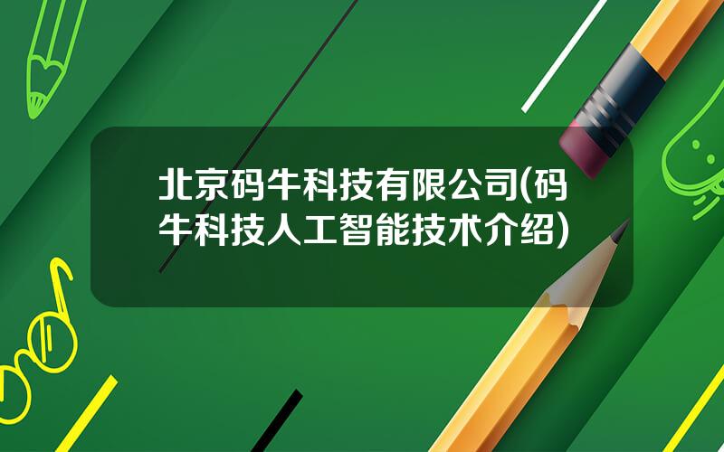 北京码牛科技有限公司(码牛科技人工智能技术介绍)