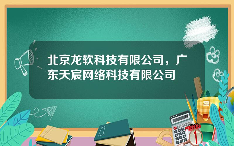 北京龙软科技有限公司，广东天宸网络科技有限公司