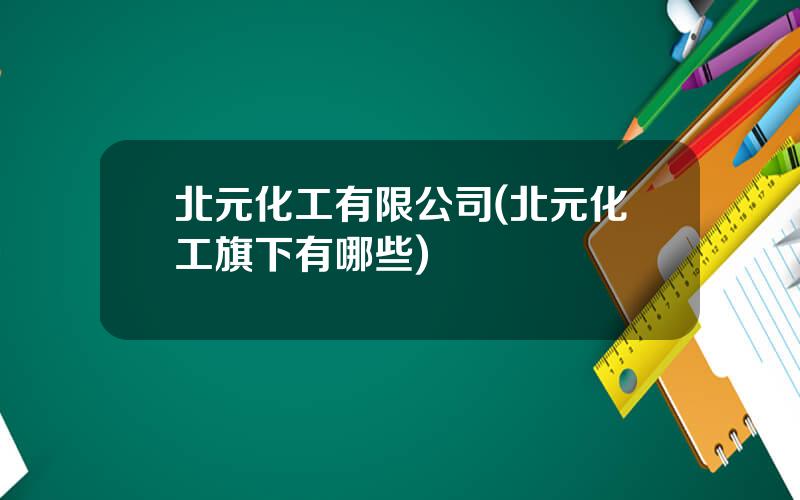 北元化工有限公司(北元化工旗下有哪些)