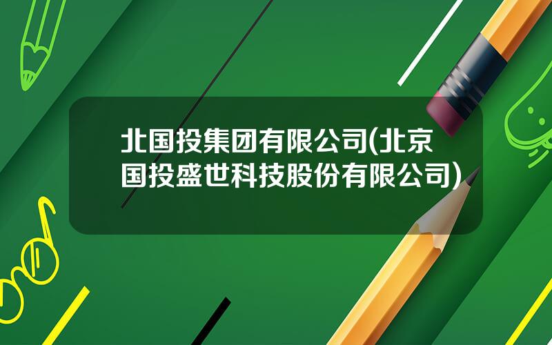 北国投集团有限公司(北京国投盛世科技股份有限公司)
