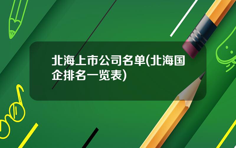北海上市公司名单(北海国企排名一览表)