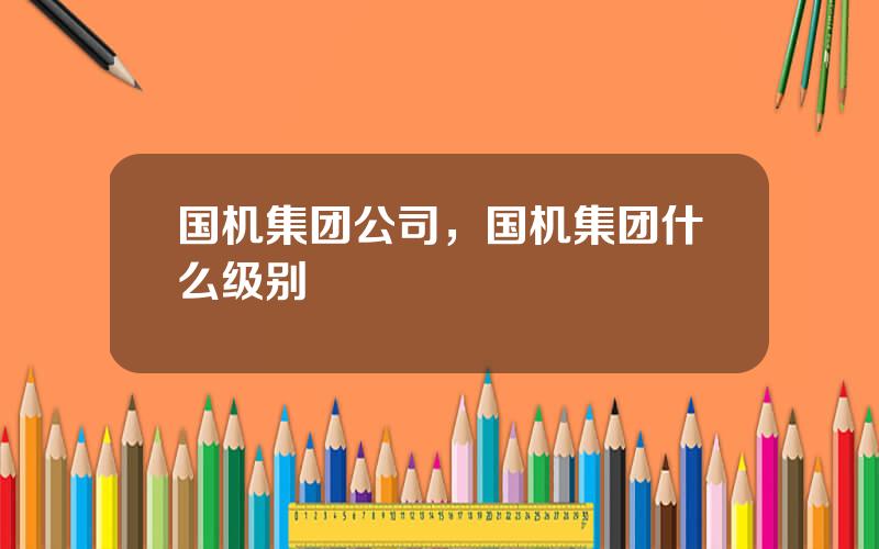 国机集团公司，国机集团什么级别