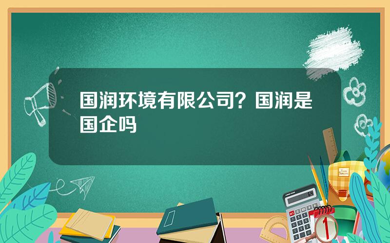 国润环境有限公司？国润是国企吗