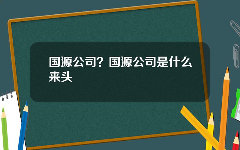 国源公司？国源公司是什么来头
