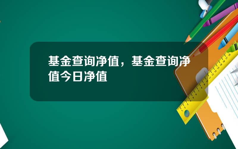 基金查询净值，基金查询净值今日净值