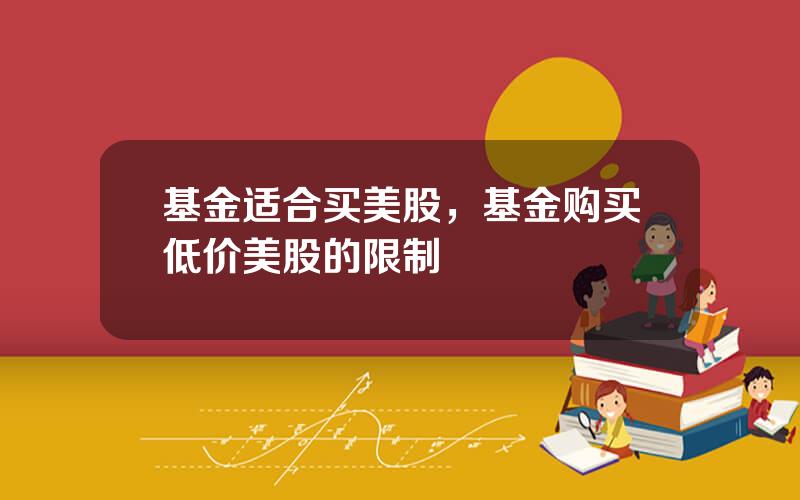 基金适合买美股，基金购买低价美股的限制