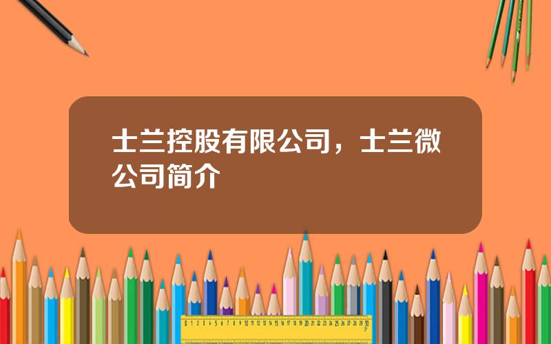 士兰控股有限公司，士兰微公司简介