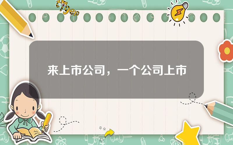 来上市公司，一个公司上市
