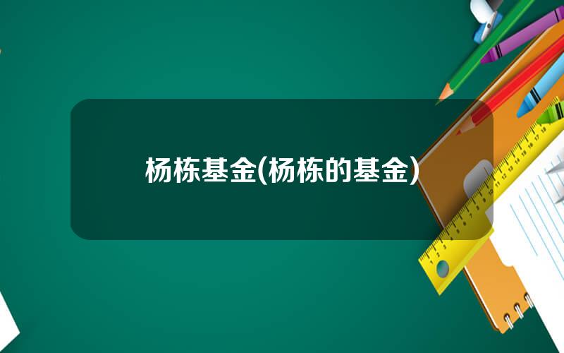 杨栋基金(杨栋的基金)