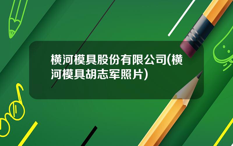 横河模具股份有限公司(横河模具胡志军照片)