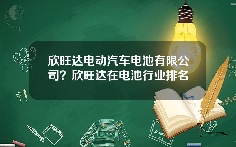 欣旺达电动汽车电池有限公司？欣旺达在电池行业排名