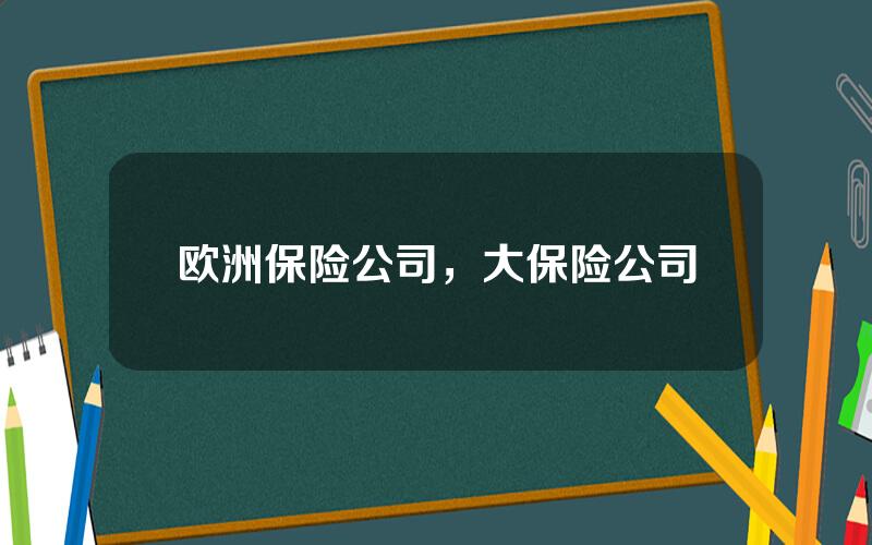 欧洲保险公司，大保险公司