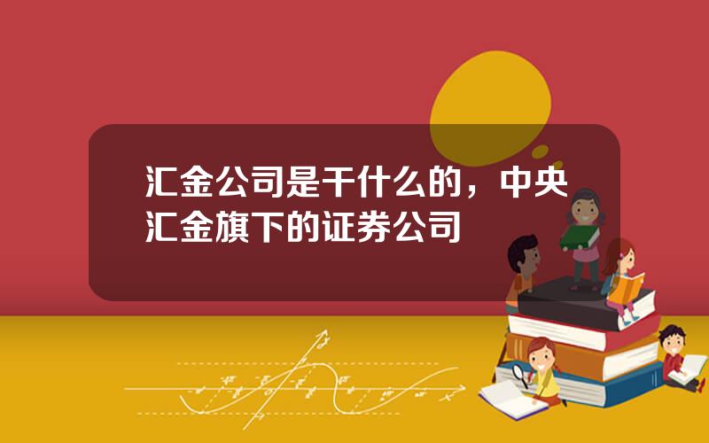 汇金公司是干什么的，中央汇金旗下的证券公司