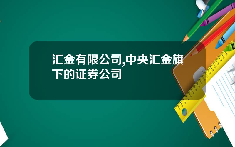 汇金有限公司,中央汇金旗下的证券公司