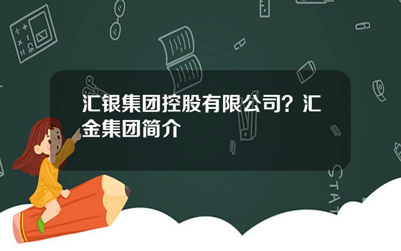 汇银集团控股有限公司？汇金集团简介