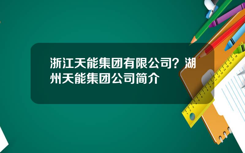 浙江天能集团有限公司？湖州天能集团公司简介