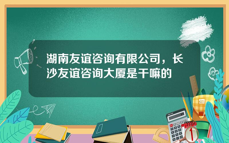 湖南友谊咨询有限公司，长沙友谊咨询大厦是干嘛的