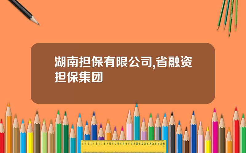 湖南担保有限公司,省融资担保集团