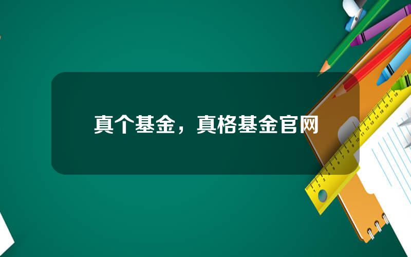 真个基金，真格基金官网